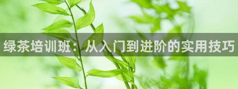 漫画免费观看漫画大全看漫画下拉式奇漫屋：绿茶培训班：从入门到进阶的实用技巧